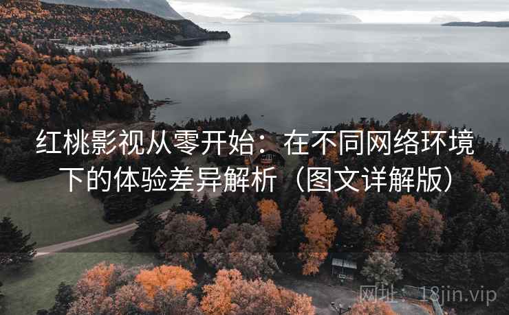 红桃影视从零开始:在不同网络环境下的体验差异解析(图文详解版) 红桃影视从零开始:在不同网络环境下的体验差异解析(图文详解版)