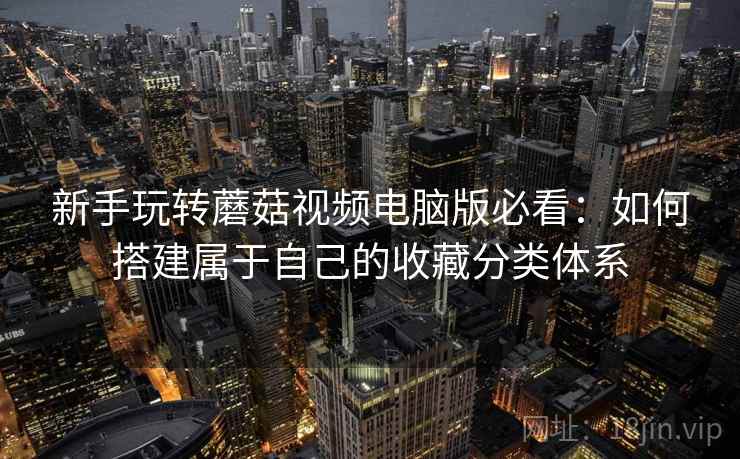 新手玩转蘑菇视频电脑版必看：如何搭建属于自己的收藏分类体系
