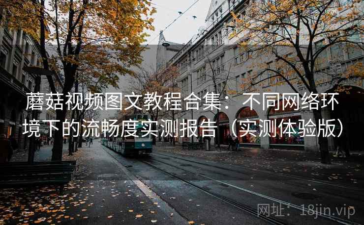 蘑菇视频图文教程合集：不同网络环境下的流畅度实测报告（实测体验版）