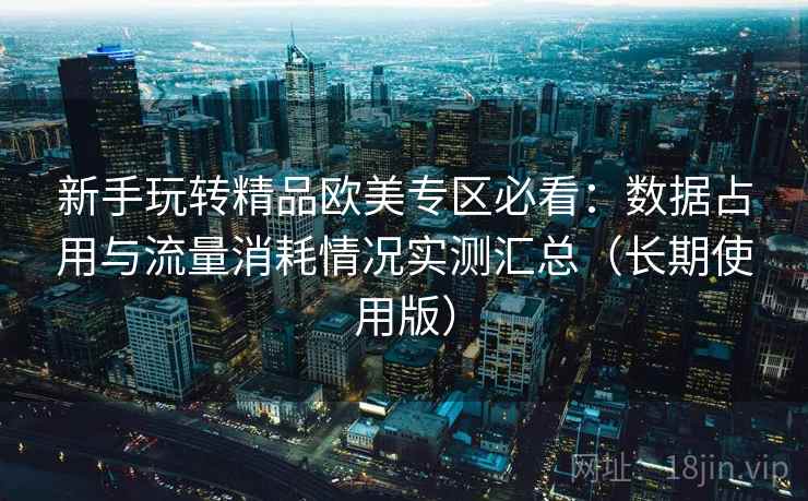 新手玩转精品欧美专区必看：数据占用与流量消耗情况实测汇总（长期使用版）