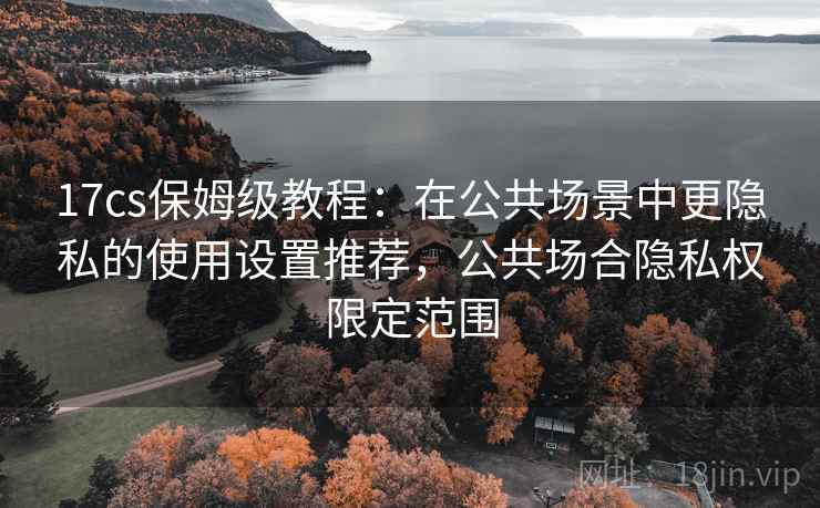 17cs保姆级教程:在公共场景中更隐私的使用设置推荐,公共场合隐私权限定范围 17cs保姆级教程:在公共场景中更隐私的使用设置推荐,公共场合隐私权限定范围