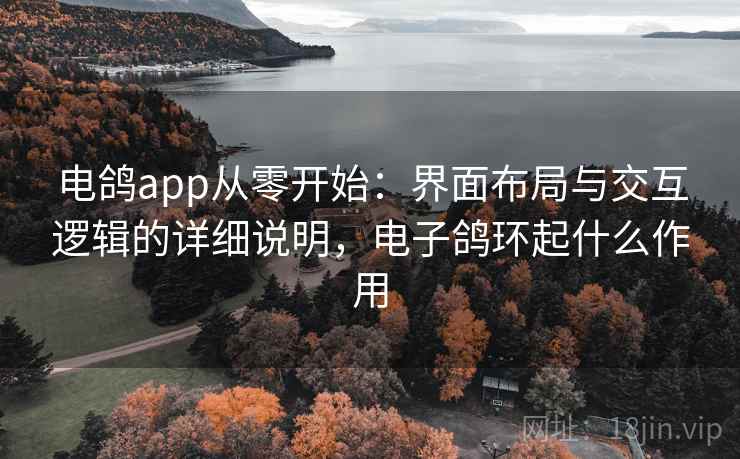 电鸽app从零开始:界面布局与交互逻辑的详细说明,电子鸽环起什么作用 电鸽app从零开始:界面布局与交互逻辑的详细说明,电子鸽环起什么作用