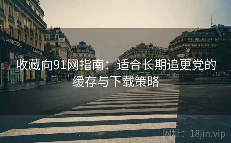 收藏向91网指南:适合长期追更党的缓存与下载策略 收藏向91网指南:适合长期追更党的缓存与下载策略