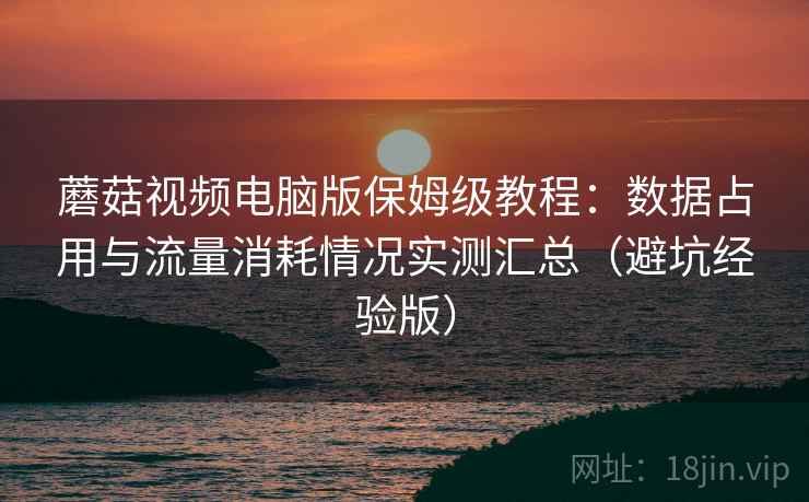 蘑菇视频电脑版保姆级教程:数据占用与流量消耗情况实测汇总(避坑经验版) 蘑菇视频电脑版保姆级教程:数据占用与流量消耗情况实测汇总(避坑经验版)